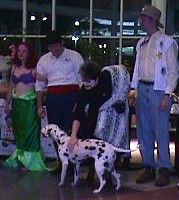 1 Dalmatian